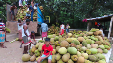 কাঁঠাল