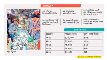 মাছ আমদানি