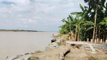ফরিদপুর বাঁধ ধস