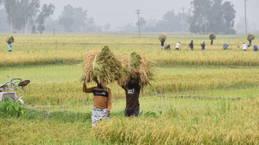ছবি: স্টার।