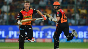 David Warner and Kane Williamson