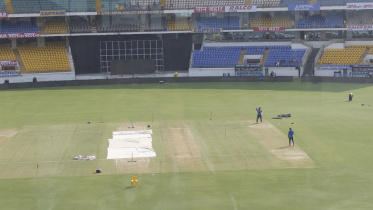 Rajkot Pitch