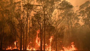 australia bushfire