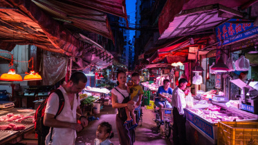 China Wildlife Market-1.jpg