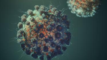 Coronavirus.jpg
