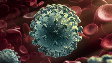 Coronavirus.jpg