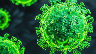 করোনাভাইরাস 