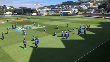 cricket nz ban