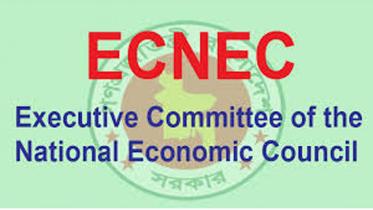 ecnec_0.jpg