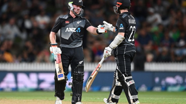 Tim Seifert & Kane Williamson 