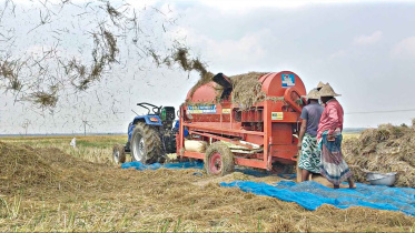 farmers-thresh-paddy.jpg
