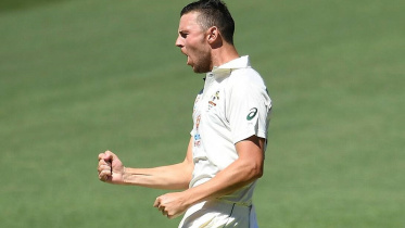 josh hazlewood