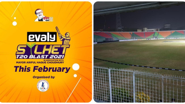 ipiccy_image (1).jpg