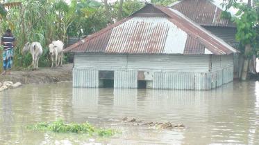 Jamalpur flood.jpg