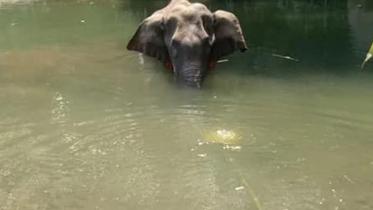 kerala.jpg