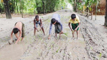 Lalmonirhat road-01.jpg