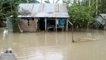 Manikganj Flood.jpg