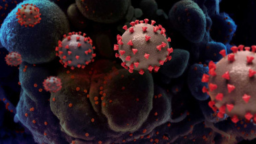 New-Strain-of-Coronavirus_Collected.jpg