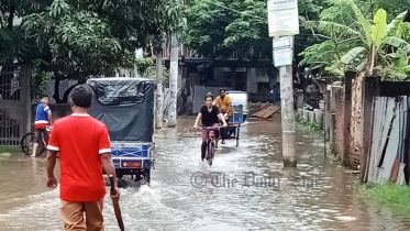 পাবনা ৪.jpg