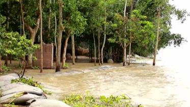 Pabna flood photo-2.jpg