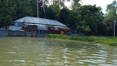 Pabna flood photo-4.jpg