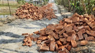 Patuakhali Pic 1062 (25.02.jpg