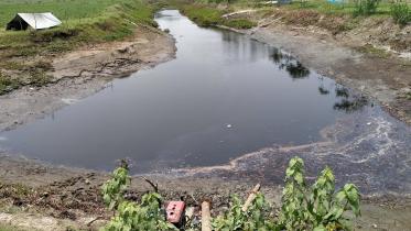 Patuakhali Pic 1160 (15.04.21).jpg