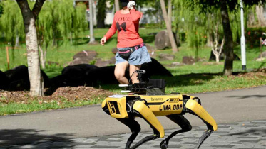 Robot-Dog.jpg