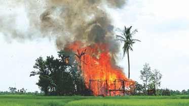 rohingya killing