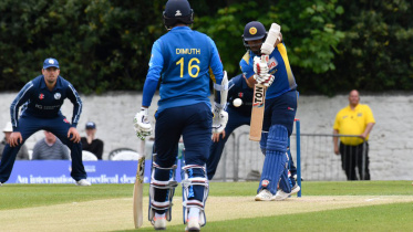 Scotland cricket board