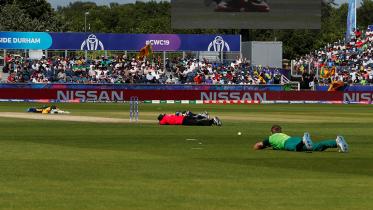 south africa vs sri lanka bee