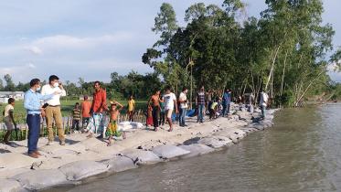 Tangail picture with  bangla news.jpg
