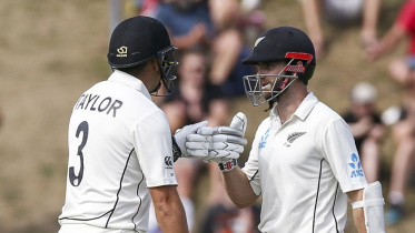 taylor and williamson