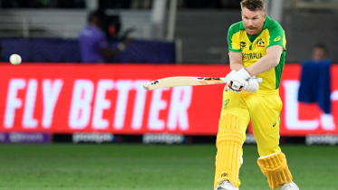 warner_2.jpg