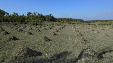 where_are_the_benefits