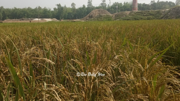 kurigram.jpg