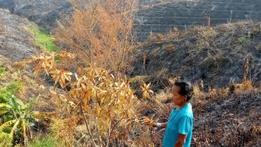 bandarban_jhum_garden_fire_photo_collected_2.jpg