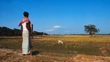 man-guarding-crops-1971_2.jpg