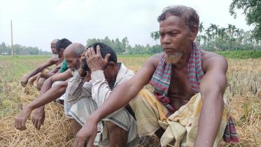 lalmonirhat_farmers-01.jpg