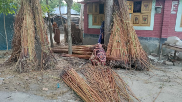 natore_jute_growers_in_problem_photo_9.jpeg