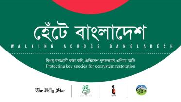 হেঁটে বাংলাদেশ.jpg