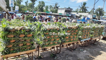 madhupur_pineapple.jpg