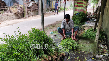 মেহেদি গ্রাম
