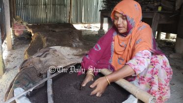 ভার্মি কম্পোস্ট