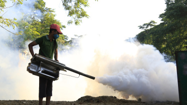 সিলেট ডেঙ্গু