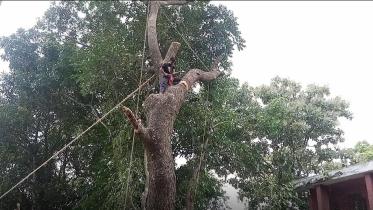 পাবনা জেলা পরিষদ