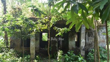 বন বিভাগের সৈয়দপুর উপজেলা দপ্তর