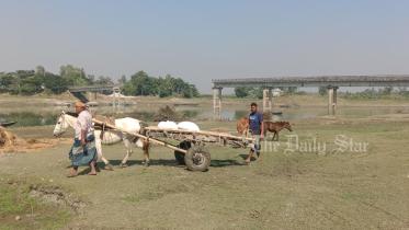 ঝিনাই সেতু