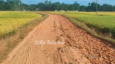 সড়ক সংস্কার : ২৫ বছরেও সড়ক সংস্কার হয়নি