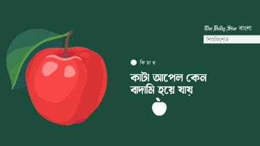 কাটা আপেল কেন বাদামি হয়ে যায়